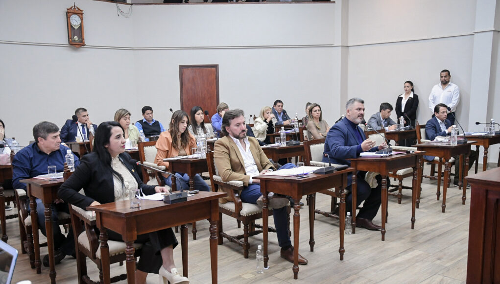 concejo-deliberante-2024