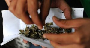 Intentaron pasar marihuana en una comisaria de Embarcación