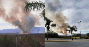 Un gran incendio se produjo en zona norte, bomberos trabajaron en el lugar