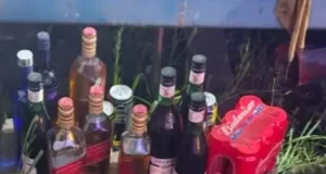 Detuvieron a seis Uruguayos que entraron a robar en un negocio en Metán