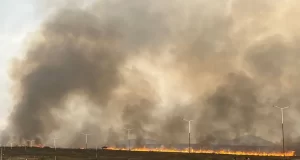 Más de 200 hectáreas fueron afectadas por el fuego, más que en el 2023