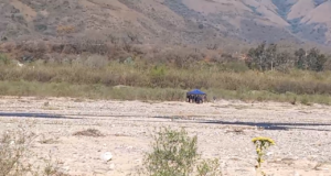 Búsqueda de Jéssica Gutiérrez: Aclaran el confuso episodio sobre un supuesto cuerpo en el río de la Caldera