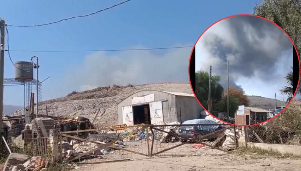 EDICION DE IMAGENES GRANDE (8)