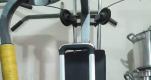 Tras robar una valija de un hostal, lo encuentran paseando en el centro