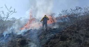 Incendio en Vaqueros: el viento agrava el trabajo de los bomberos