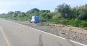 Accidente fatal en la ruta 81 deja dos fallecidos; la policía busca esclarecer los motivos