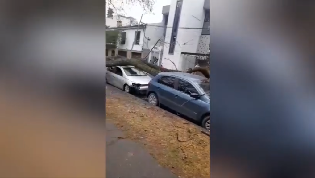 EDICION DE IMAGENES GRANDE (12)