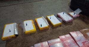 Golpe al Narcotráfico en Salta: Secuestran Más de 31 Kilos de Cocaína y Detienen a Cuatro Personas