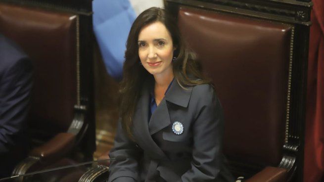 ley-bases-senado-villarruel