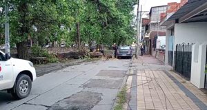 Un árbol cayó sobre un vehículo en plena calle Esteco, no hubo heridos