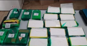 Mujer detenida en ruta del norte argentino con 21 kilos de cocaína rumbo a Córdoba