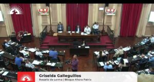 Polémica en la Cámara de Diputados: Villamayor a Galleguillos «Vas a tener que recoger los dientes del piso»