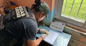 Metán: detienen a una mujer acusada de ser proveedora de droga