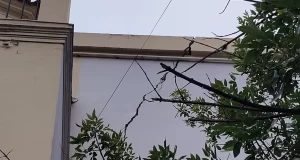 Preocupación por una enorme grieta en la Catedral: cierran una vereda por precaución