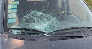 Inseguridad en el Cementerio El Carmen: denuncian ataques y vandalismo