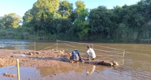 Un joven nadaba en un río de Córdoba y descubrió restos de un gliptodonte