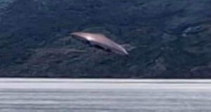 Turistas fotografían un supuesto OVNI sobre el Canal Beagle en Ushuaia