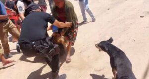 Tensión en Alto La Sierra: comunidad wichí tomó una escuela e impidió el inicio de clases