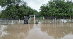 Crecida del Pilcomayo: Santa Victoria Este en alerta mientras cientos de familias buscan refugio