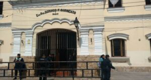 Escuela Sarmiento: Dos alumnos fueron picados por abejas durante un acto, bomberos tuvo que intervenir