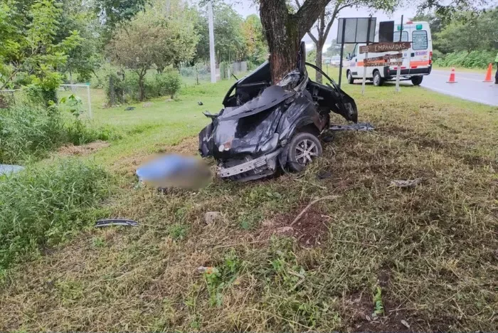 multimedia.normal.9349eb2ee4fde937.bm9ybWFsLndlYnA=