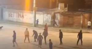 Violento enfrentamiento entre patotas en zona sudeste