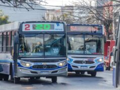 Declaran inconstitucional el requisito de dos materias aprobadas para acceder al boleto estudiantil gratuito