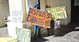 Indignación en Salta por la muerte de Chuequito durante el desfile a Güemes