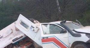 Accidente en la ruta 54: ambulancia chocó contra una vaca en el Chaco salteño