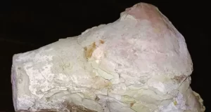 Descubren restos fósiles en el Valle de Cianca: podrían pertenecer a la Megafauna