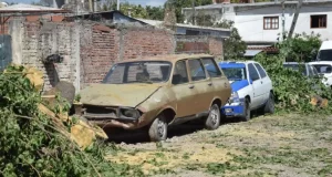 Villa Luján: un árbol cayó y destrozó cuatro autos en la calle Prado
