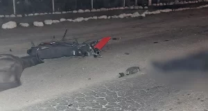 Un motociclista murió al chocar contra un caballo en la Ruta 51