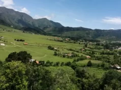 Una niña de 3 años se perdió en el monte y fue hallada gracias a su perrito guardián