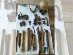 Hallan restos óseos humanos tras un incendio en una finca de Las Lajitas