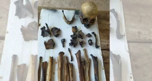 Hallan restos óseos humanos tras un incendio en una finca de Las Lajitas