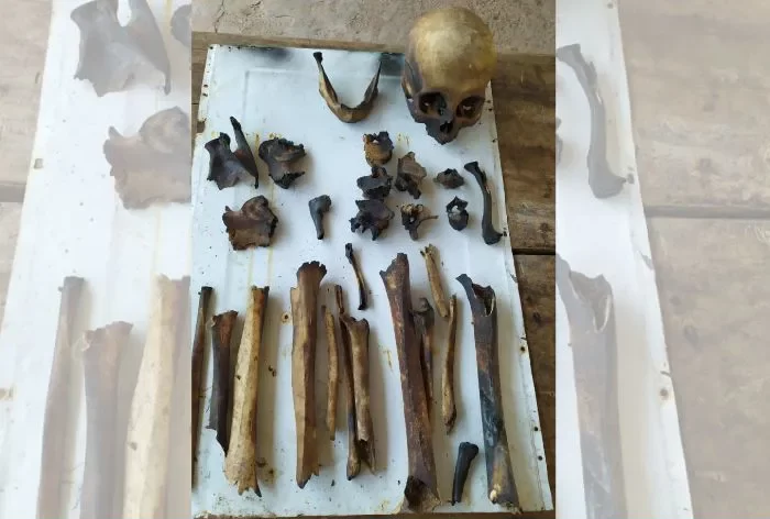 multimedia.normal.982651eb41d2462c.bm9ybWFsLndlYnA=