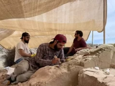 Hallan un huevo de dinosaurio carnívoro en excelente estado en Río Negro