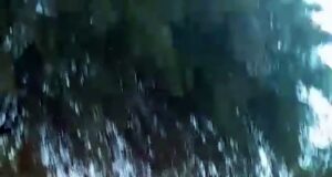 Desalojo en Pichanal: operativo cuestionado contra una joven madre y su hija