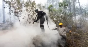 Incendios en Chubut: esperan lluvias mientras el fuego ya arrasó casi 12 mil hectáreas