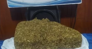 Detuvieron a una mujer con más de medio kilo de marihuana en la terminal de Cafayate