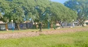 Investigan muerte de un hombre arrollado por un tren en Rosario de la Frontera