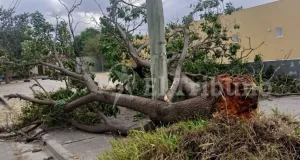 Fuerte temporal en Salta: caída de postes y cortes de luz en varias localidades