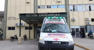 Confirman 51 casos de chikungunya en Salta y advierten transmisión local