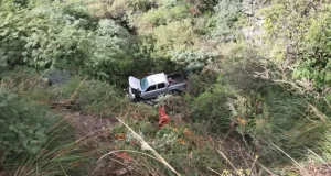 Camioneta cargada con zanahorias desbarrancó en la Cuesta del Obispo